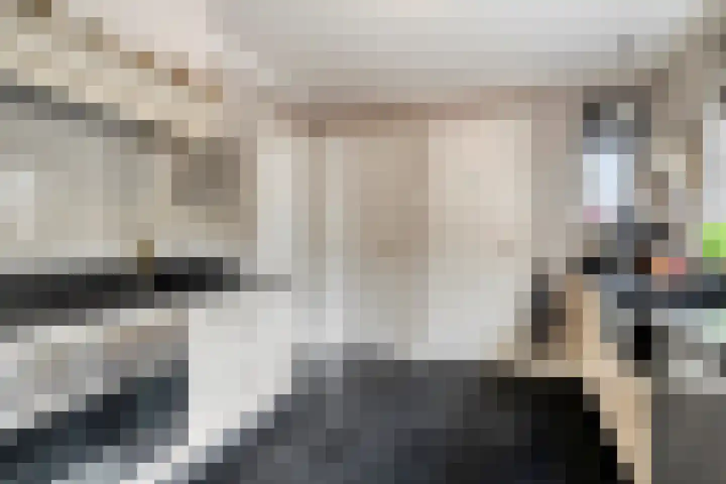 Gagelweg 2 Steenbergen thumbnail 20