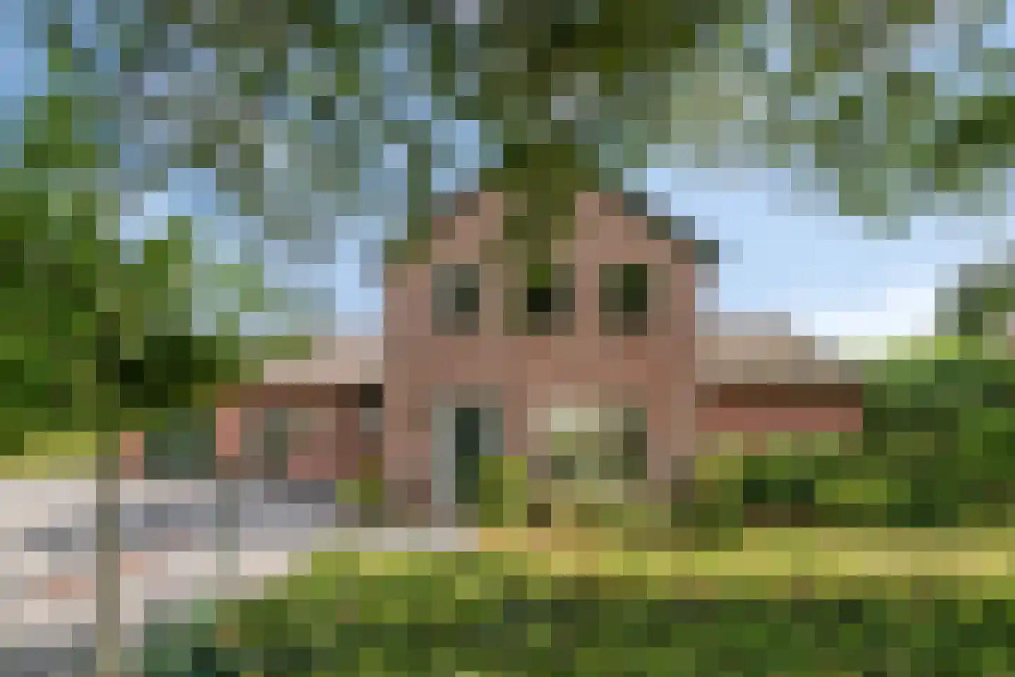 Gagelweg 2 Steenbergen thumbnail 4
