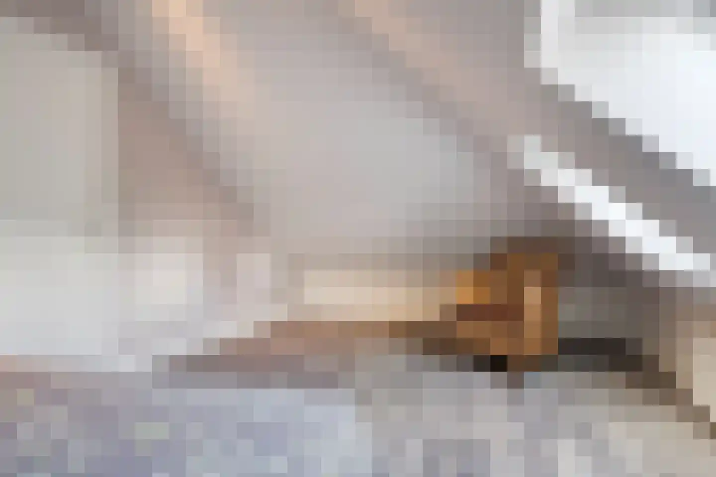 Gagelweg 2 Steenbergen thumbnail 50