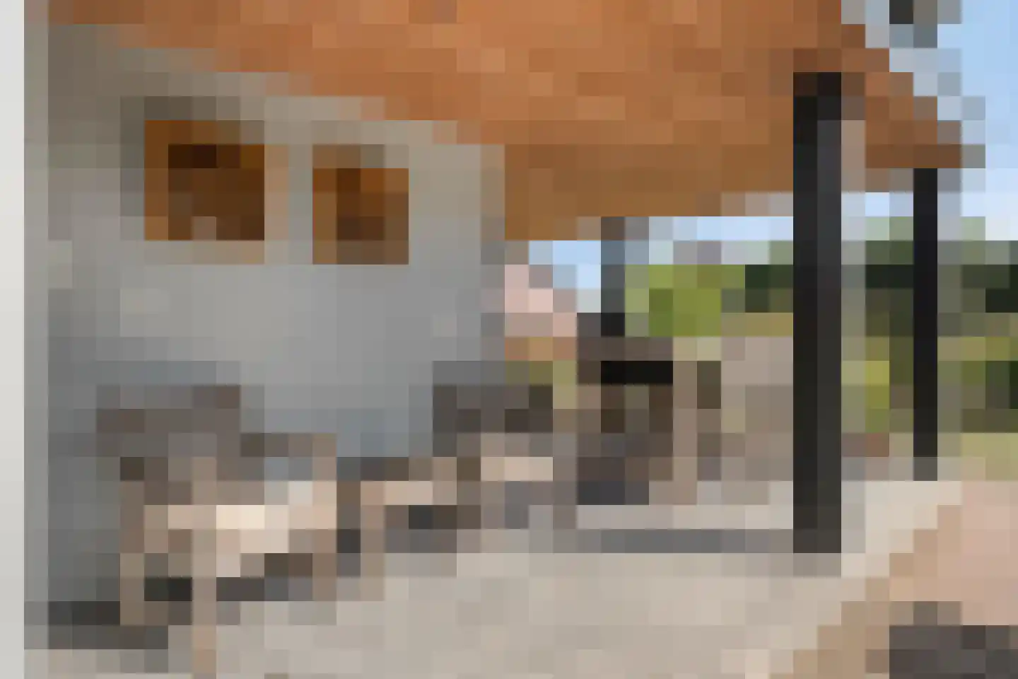 Gagelweg 2 Steenbergen thumbnail 53