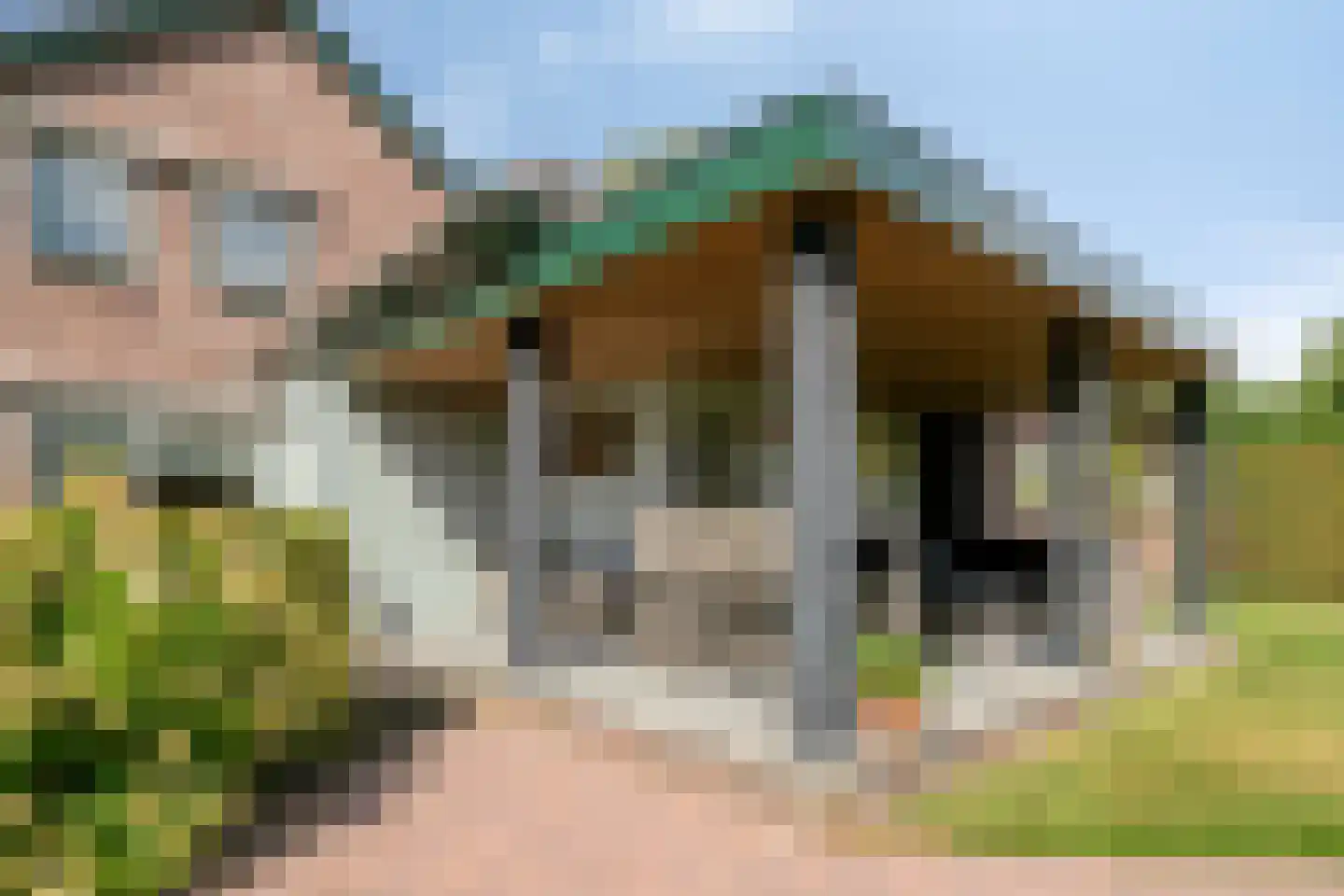Gagelweg 2 Steenbergen thumbnail 54