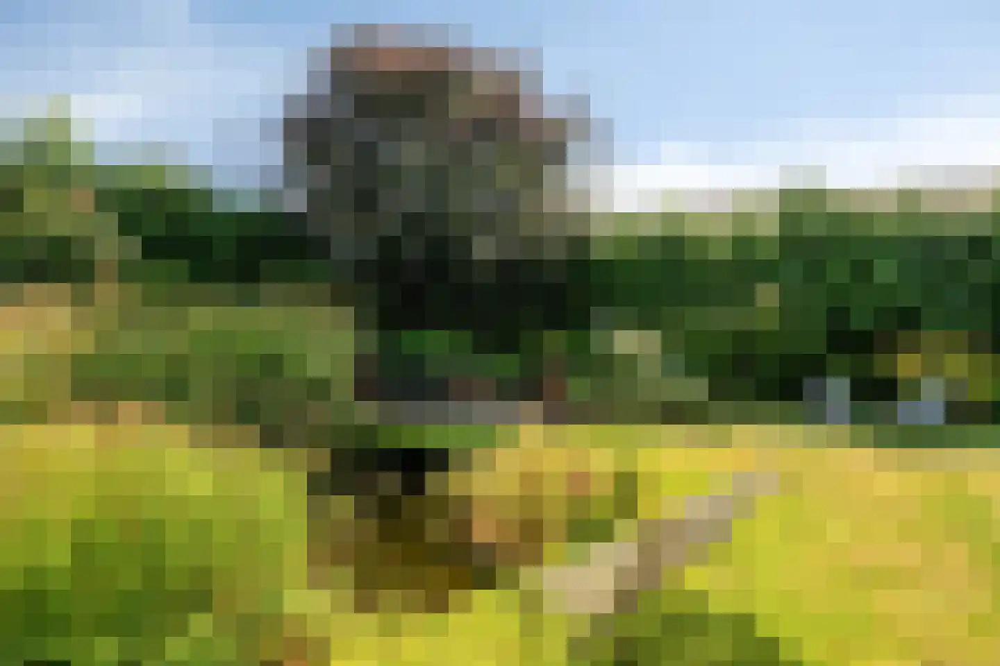 Gagelweg 2 Steenbergen thumbnail 61