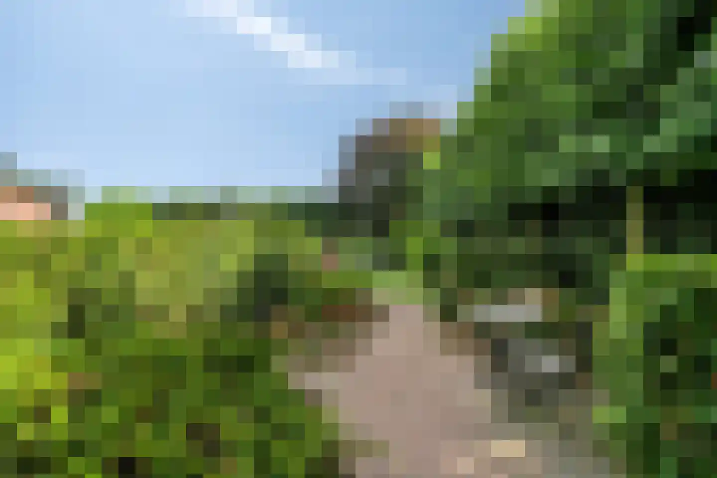 Gagelweg 2 Steenbergen thumbnail 69