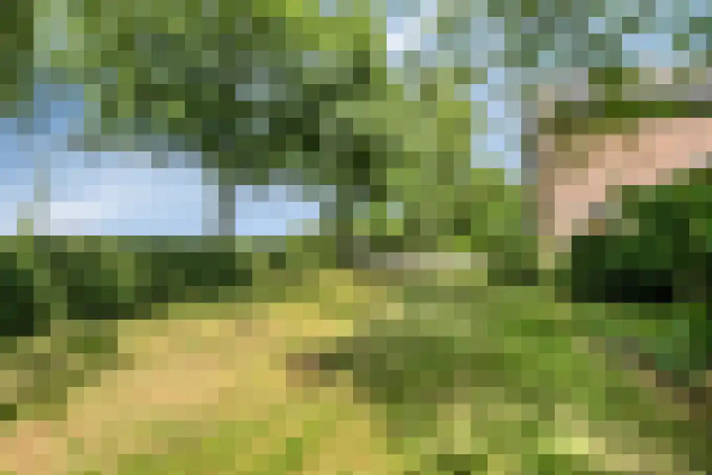 Gagelweg 2 Steenbergen thumbnail 72