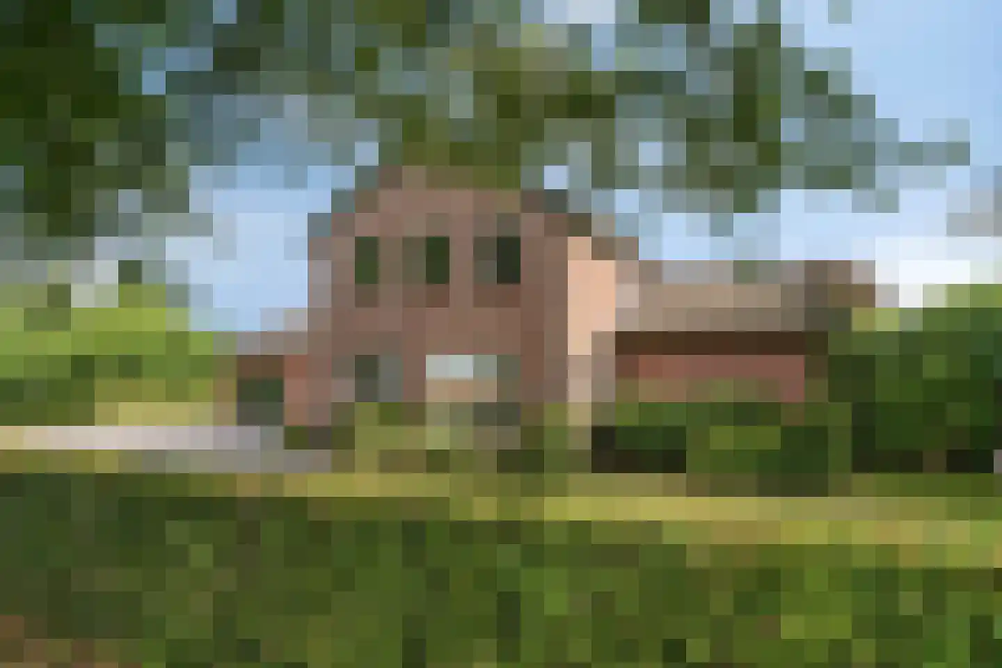 Gagelweg 2 Steenbergen thumbnail 80