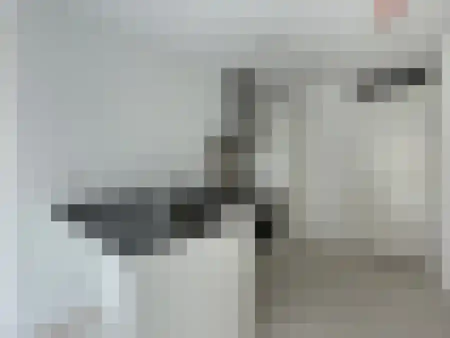 Gaiastraat 96 Leiden thumbnail 5