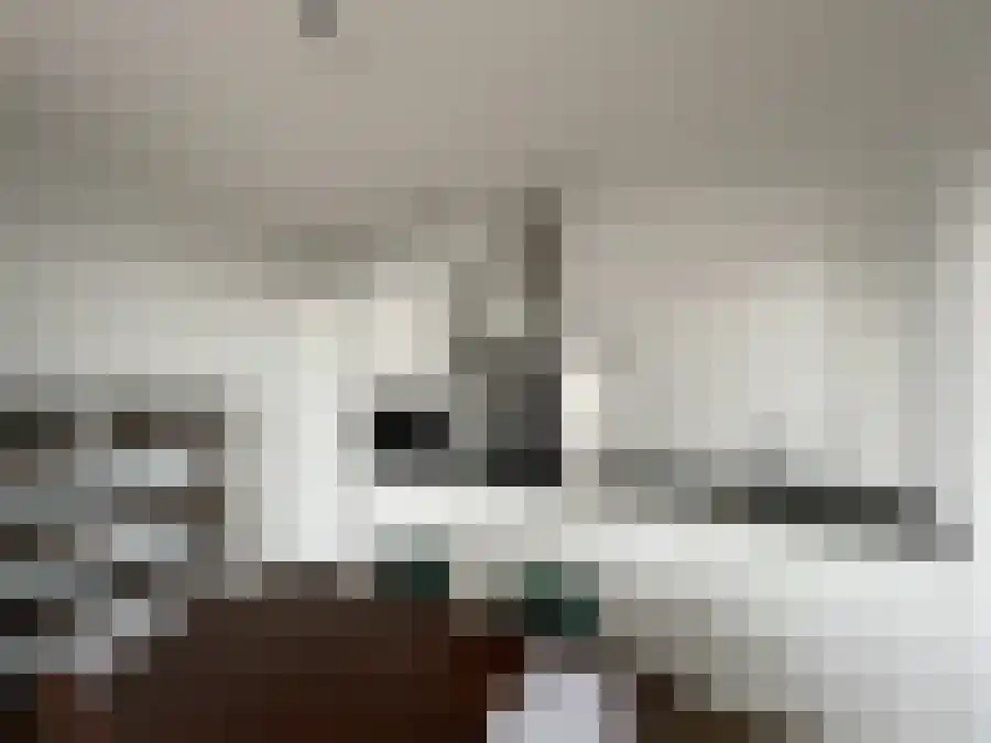 Gaiastraat Leiden thumbnail 5
