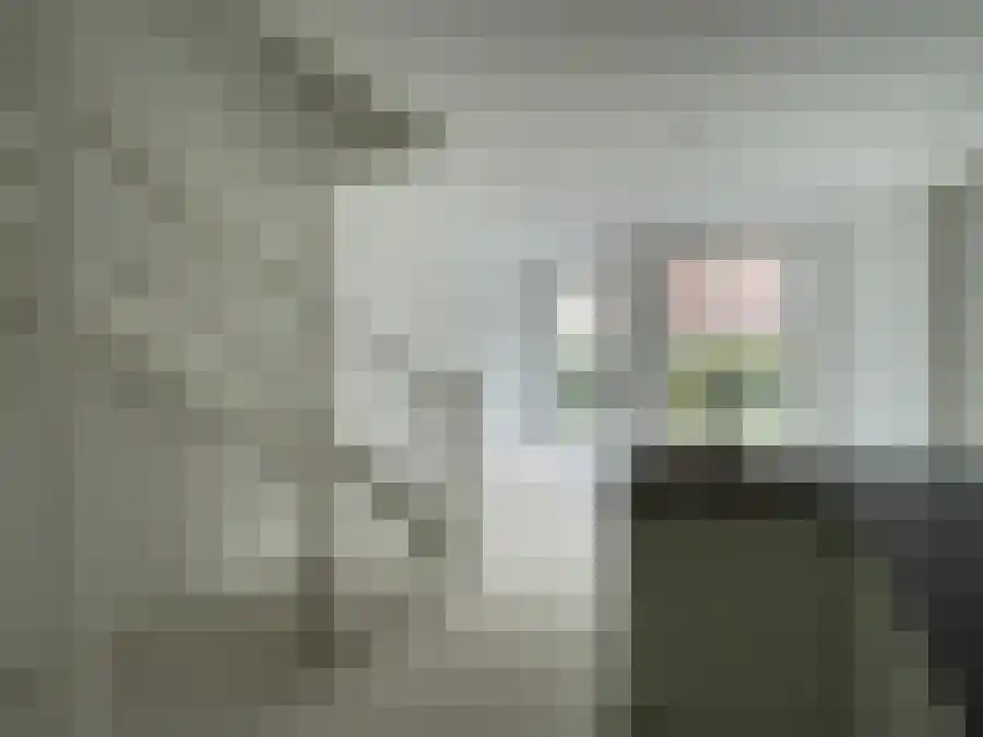 Gaiastraat Leiden thumbnail 5