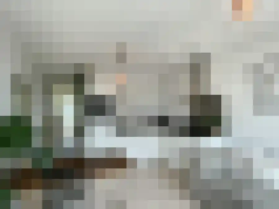 Gaiastraat Leiden thumbnail 5