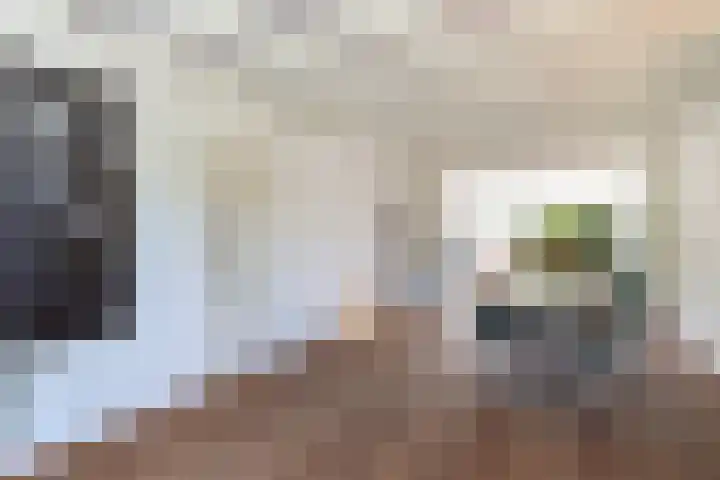 Gaickingahof 22 Zuidhorn thumbnail 12