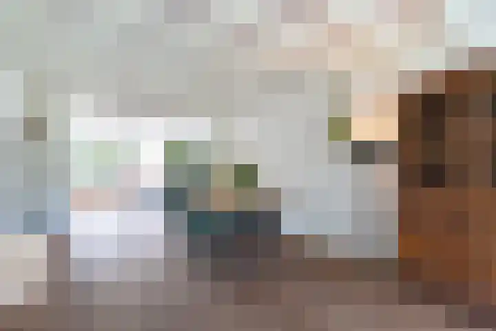Gaickingahof 22 Zuidhorn thumbnail 13
