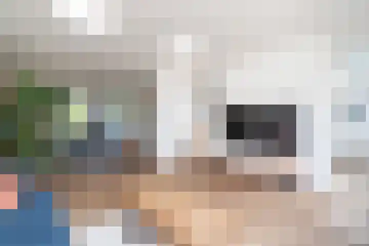 Gaickingahof 22 Zuidhorn thumbnail 15