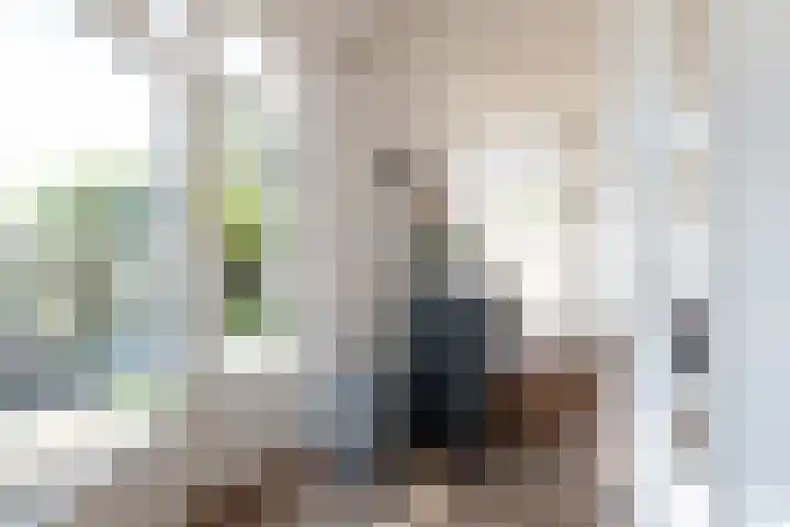 Gaickingahof 22 Zuidhorn thumbnail 16
