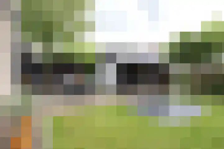 Gaickingahof 22 Zuidhorn thumbnail 17