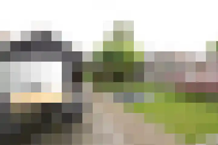 Gaickingahof 22 Zuidhorn thumbnail 18