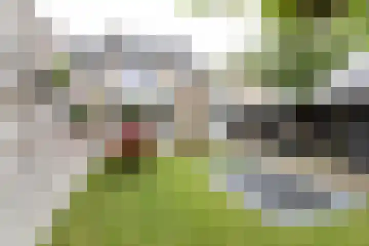 Gaickingahof 22 Zuidhorn thumbnail 20