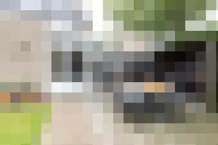 Gaickingahof 22 Zuidhorn thumbnail 21