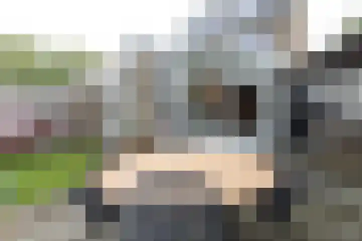 Gaickingahof 22 Zuidhorn thumbnail 22