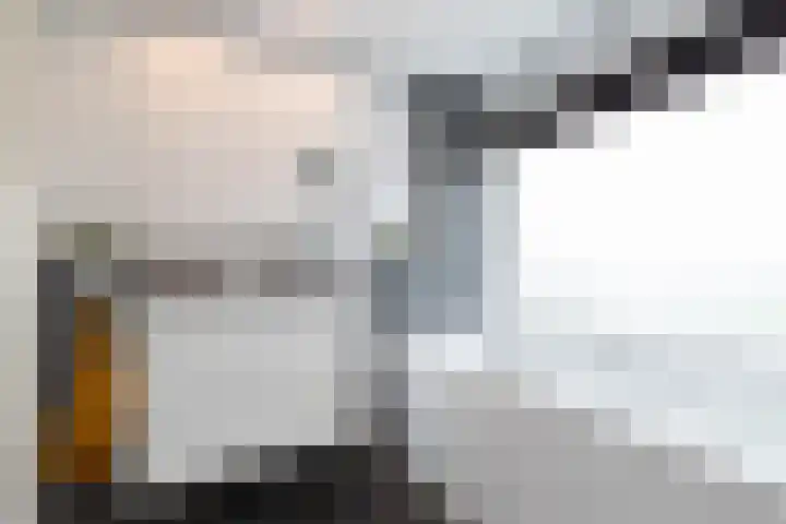 Gaickingahof 22 Zuidhorn thumbnail 37