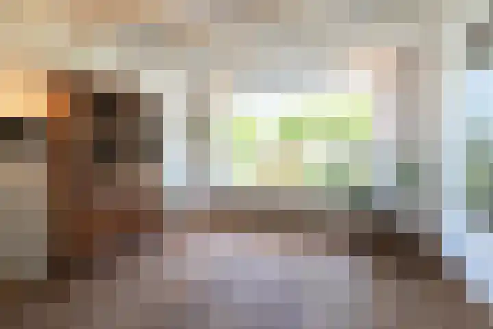 Gaickingahof 22 Zuidhorn thumbnail 45