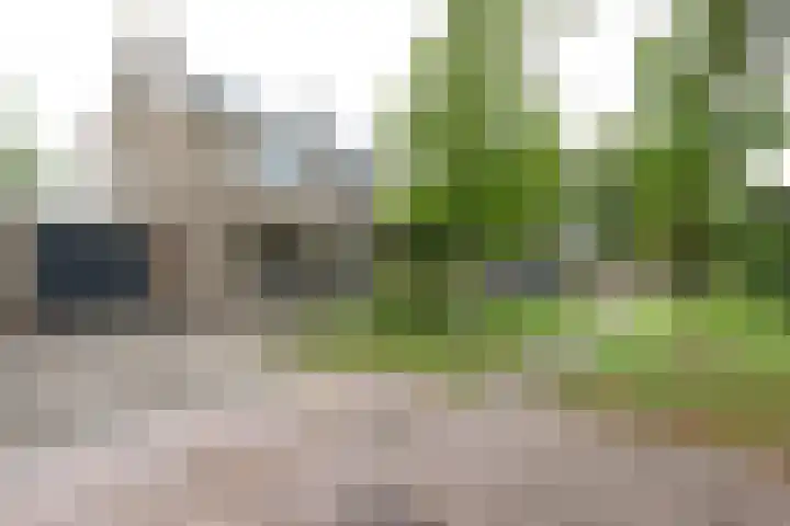 Gaickingahof 22 Zuidhorn thumbnail 46