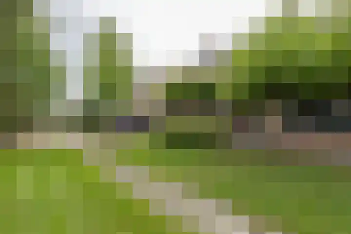 Gaickingahof 22 Zuidhorn thumbnail 5