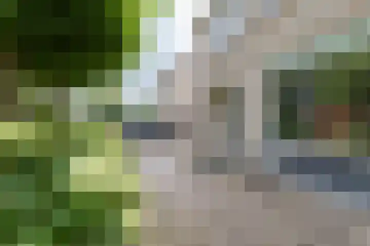 Gaickingahof 22 Zuidhorn thumbnail 6