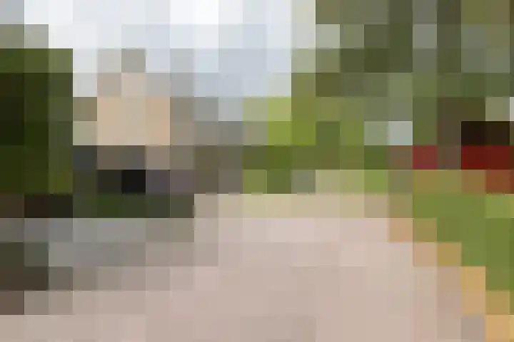 Gaickingahof 22 Zuidhorn thumbnail 7
