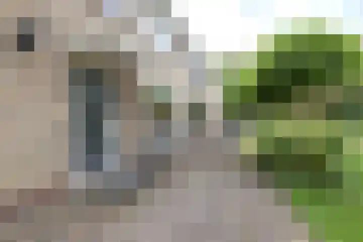 Gaickingahof 22 Zuidhorn thumbnail 9