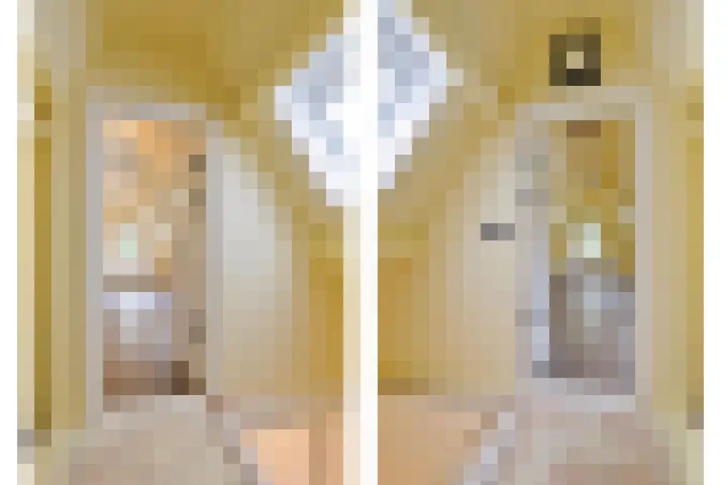 Gaickingahof 4 Zuidhorn thumbnail 15