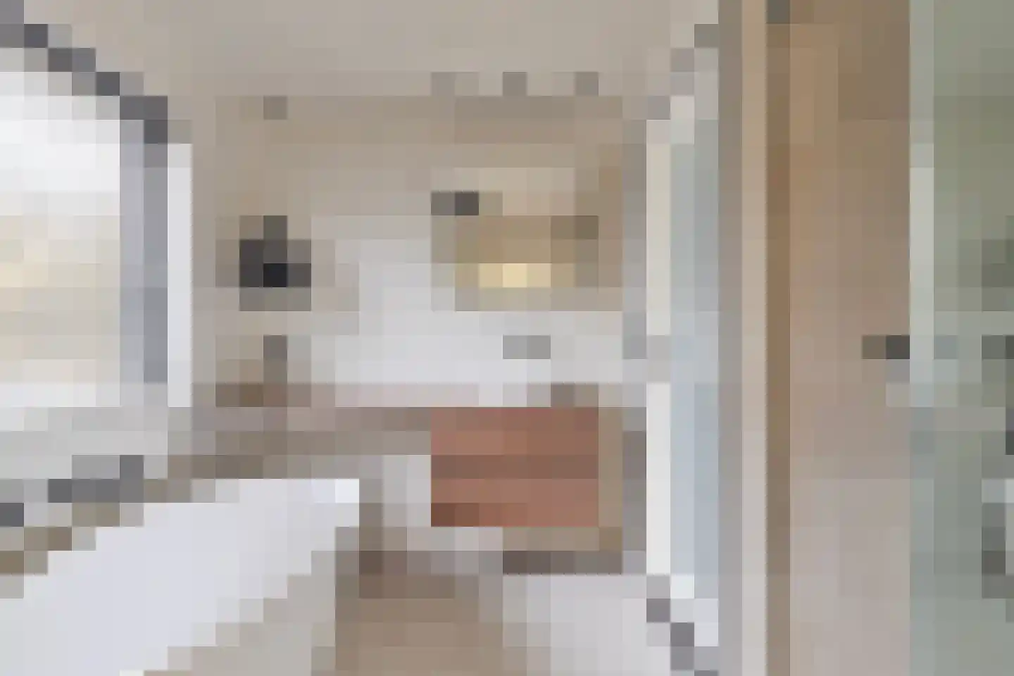 Gaickingahof 4 Zuidhorn thumbnail 42