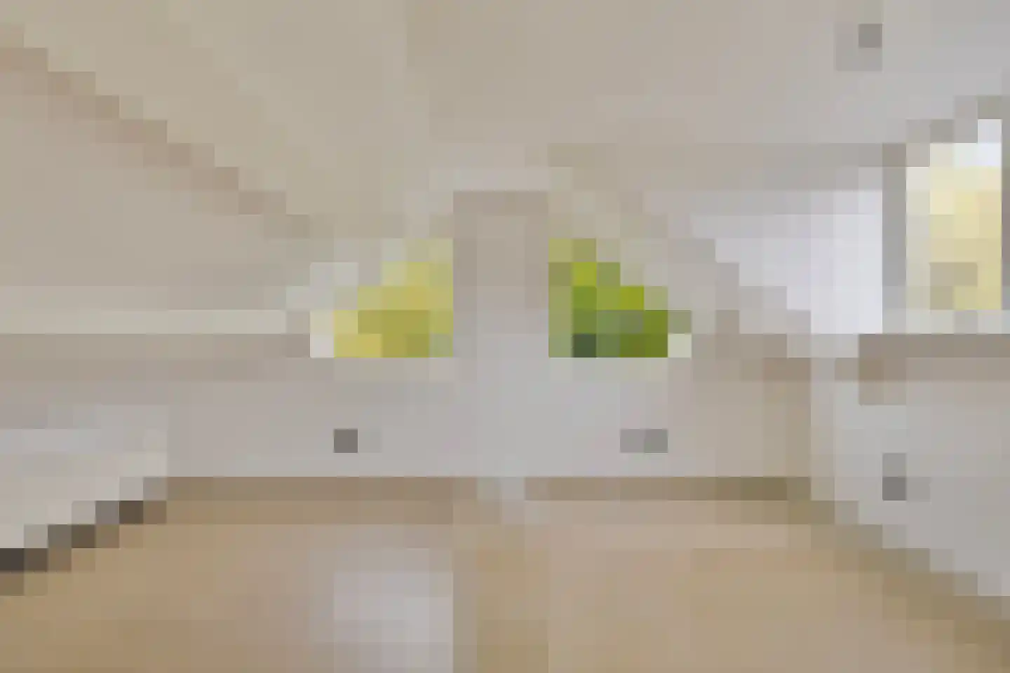 Gaickingahof 4 Zuidhorn thumbnail 51