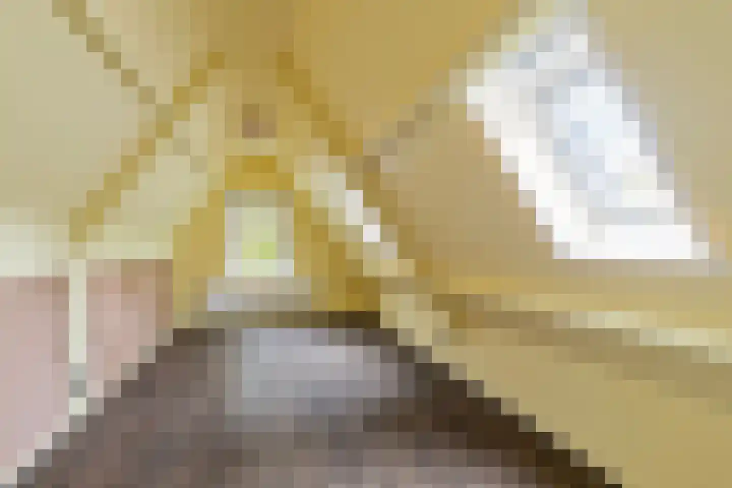 Gaickingahof 4 Zuidhorn thumbnail 55