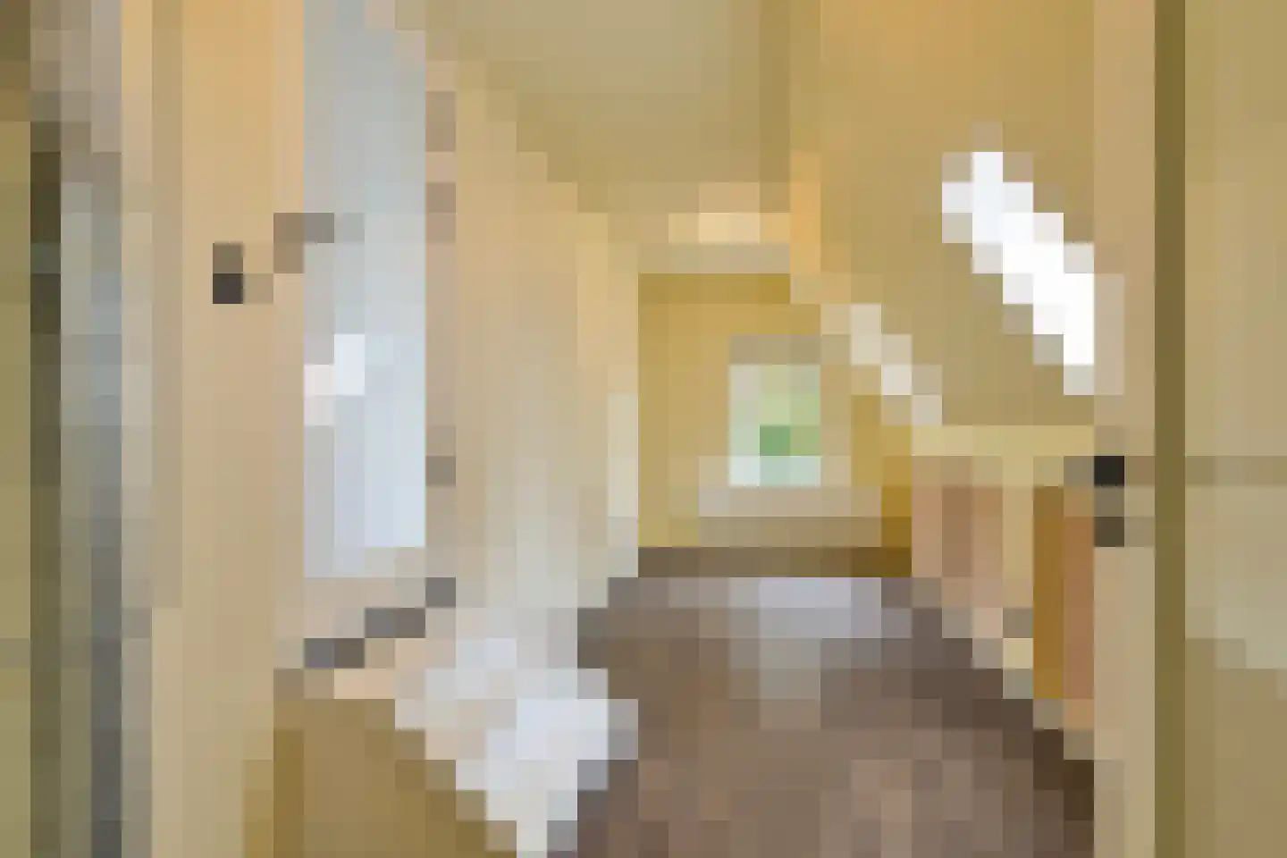 Gaickingahof 4 Zuidhorn thumbnail 56