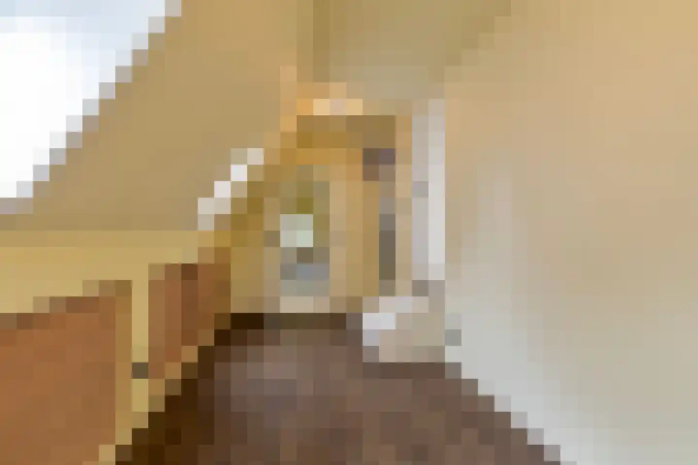 Gaickingahof 4 Zuidhorn thumbnail 57