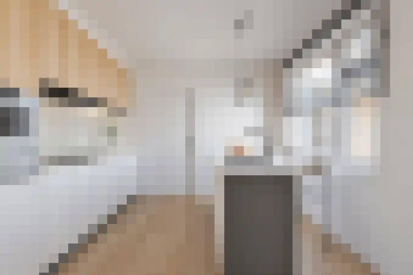 Gaickingahof 4 Zuidhorn thumbnail 9