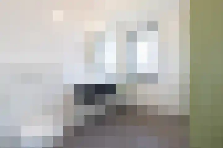 Gaickingalaan 11 Zuidhorn thumbnail 24