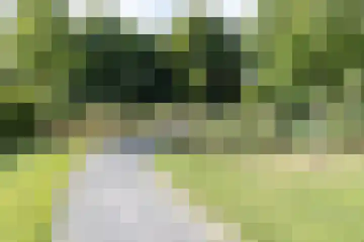 Gaickingalaan 11 Zuidhorn thumbnail 34