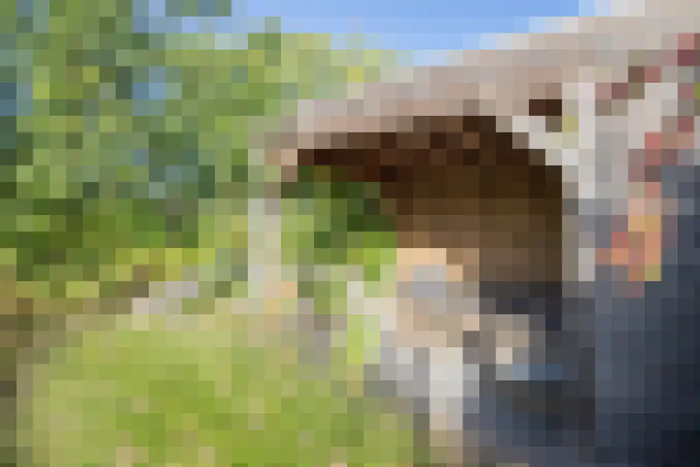 Gaickingalaan 58 Zuidhorn thumbnail 22
