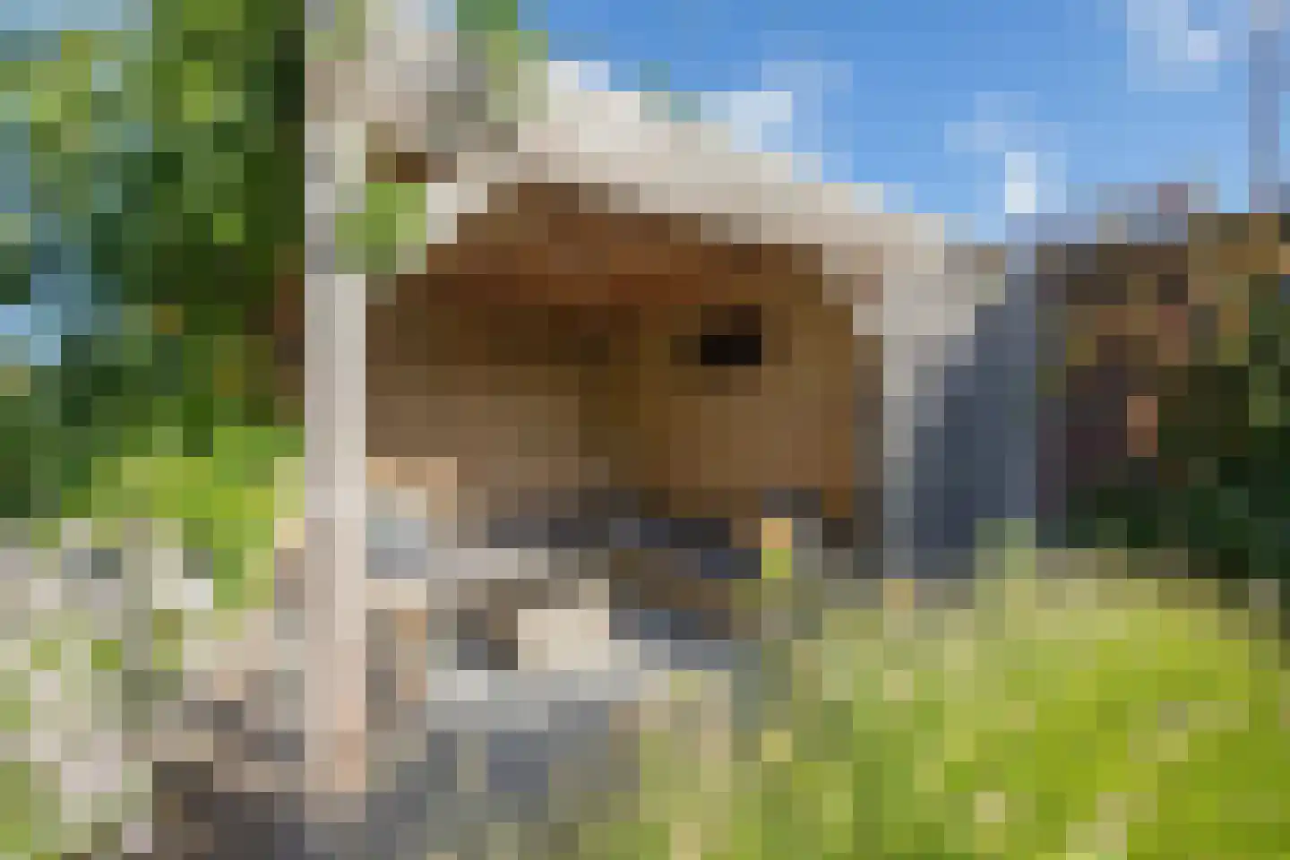 Gaickingalaan 58 Zuidhorn thumbnail 31