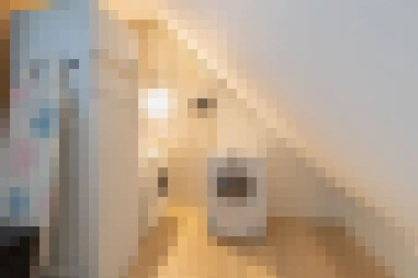 Gaickingalaan 58 Zuidhorn thumbnail 53