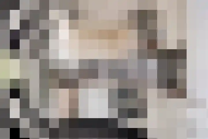 Gajus Nautastraat 22 Sneek thumbnail 13