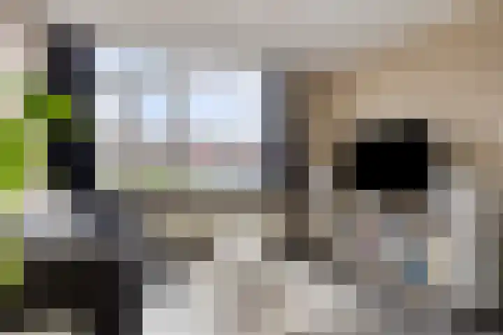 Gajus Nautastraat 22 Sneek thumbnail 9