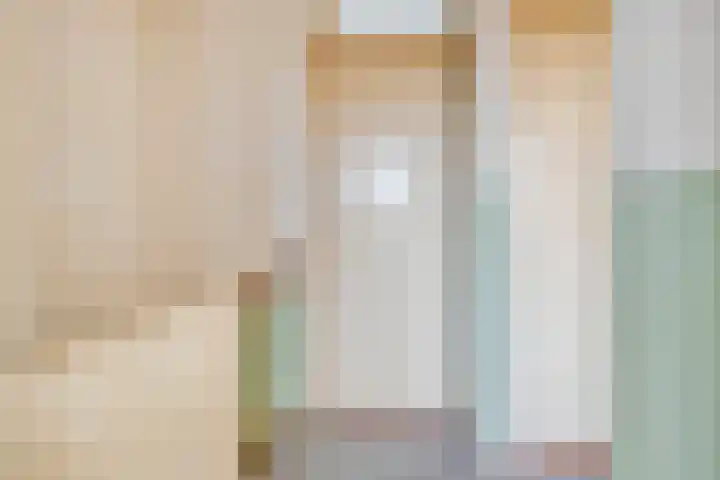 Gajus Nautastraat 3 Sneek thumbnail 16