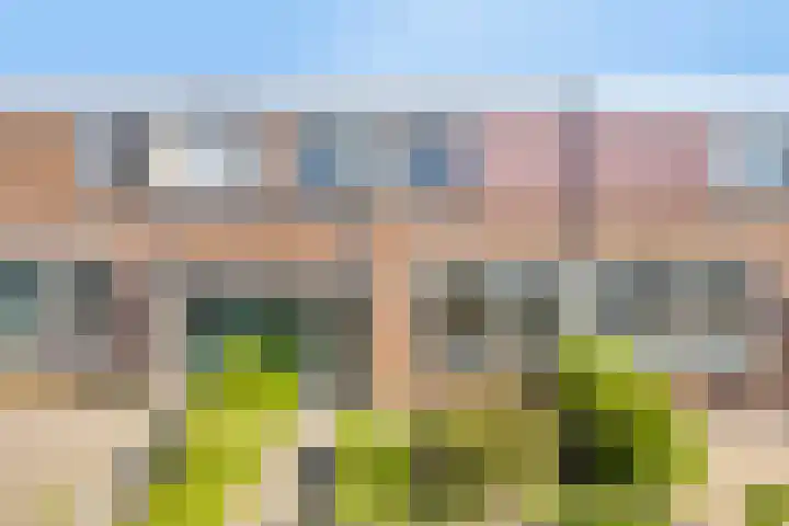 Gajus Nautastraat 3 Sneek thumbnail 36