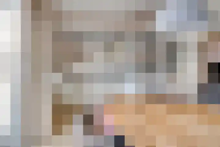 Gajus Nautastraat 4 Sneek thumbnail 15