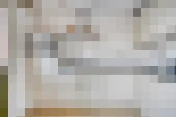 Gajus Nautastraat 4 Sneek thumbnail 16