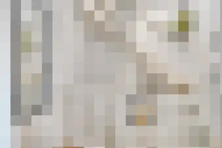 Gajus Nautastraat 4 Sneek thumbnail 19