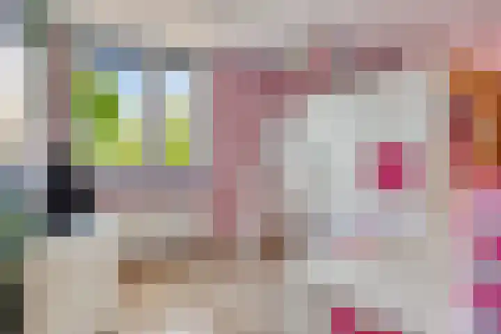 Gajus Nautastraat 4 Sneek thumbnail 20