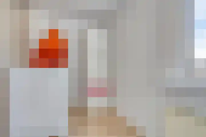 Gajus Nautastraat 4 Sneek thumbnail 24